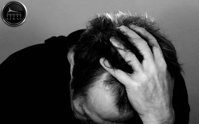 Kitchen Cabinet -کابینت آشپزخانه Kitchen Cabinet -کابینت آشپزخانه