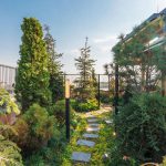 roof garden-روف گاردن
